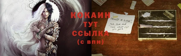 винт Ельня