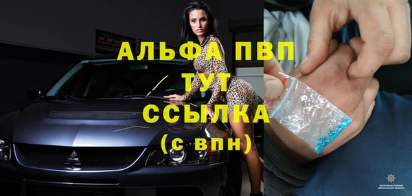 винт Ельня