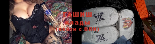 винт Ельня