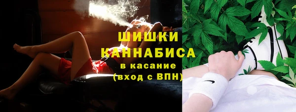винт Ельня