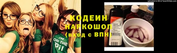 мет Елабуга