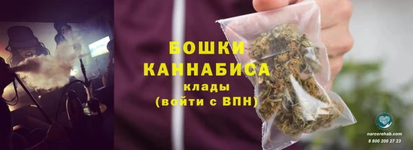 прущие крисы Заводоуковск