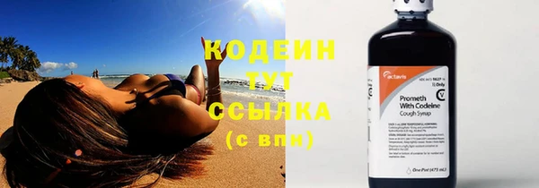 прущие крисы Заводоуковск