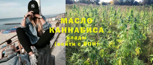 мет Елабуга